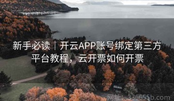 新手必读｜开云APP账号绑定第三方平台教程，云开票如何开票