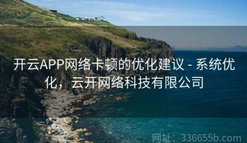 开云APP网络卡顿的优化建议 - 系统优化，云开网络科技有限公司