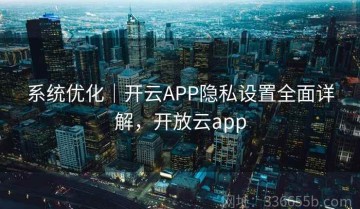 系统优化｜开云APP隐私设置全面详解，开放云app