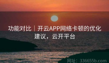 功能对比｜开云APP网络卡顿的优化建议，云开平台
