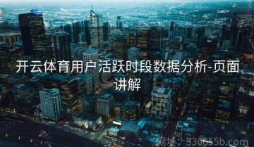 开云体育用户活跃时段数据分析-页面讲解