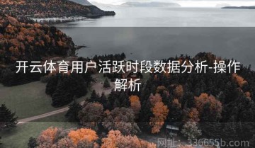 开云体育用户活跃时段数据分析-操作解析