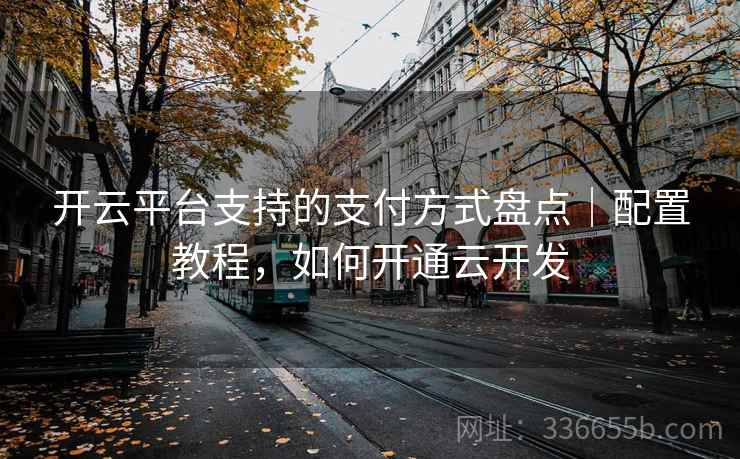 开云平台支持的支付方式盘点|配置教程,如何开通云开发 开云平台支持的支付方式盘点|配置教程,如何开通云开发